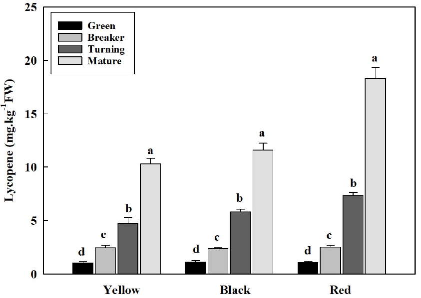 Bioactive Compound Accumulation and Antioxidant Activity in Tomato ...