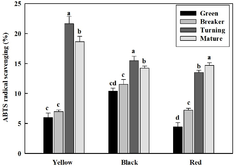 Bioactive Compound Accumulation and Antioxidant Activity in Tomato ...